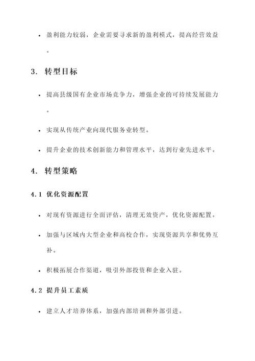 县级国有企业转型方案