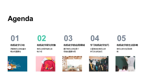 有机化学揭秘