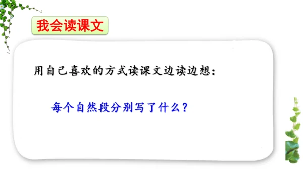 10 爬山虎的脚  课件