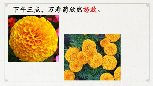 13《花钟》（课件）