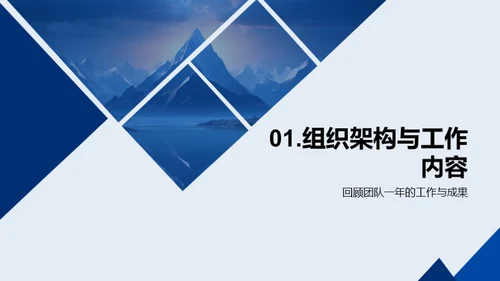 团队年度成就与展望