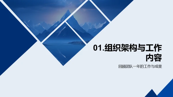 团队年度成就与展望