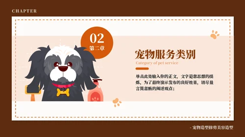 宠物染色宣传推广介绍通用PPT模板