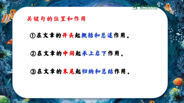 18.富饶的西沙群岛  课件
