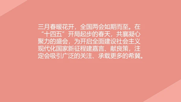 粉色党政风两会学习心得PPT模板
