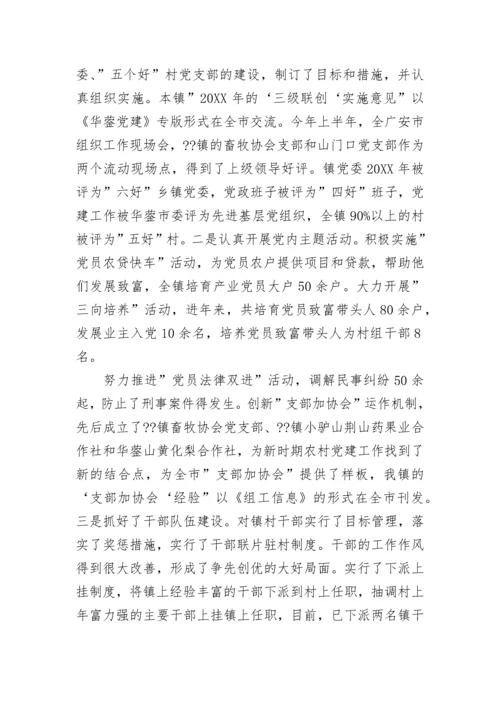 党支部组织委员个人述职报告.docx