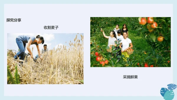 第十四课 家乡物产养育我 课件（23张ppt）