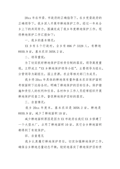 耕地保护责任目标自查报告.docx