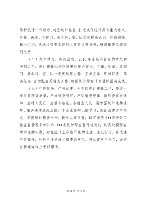 统计稽查工作计划.docx