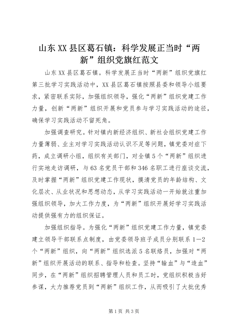 山东XX县区葛石镇：科学发展正当时“两新”组织党旗红范文.docx