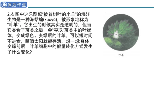 人教版生物七年级上册第一单元《生物与细胞》单元复习课件(共53张PPT)