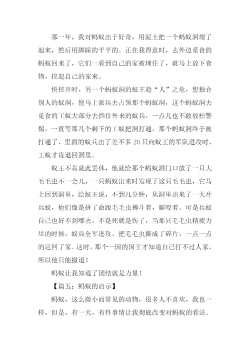 蚂蚁的启示作文-6.docx