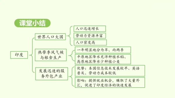 8.3 印度（课件35张）-2024-2025学年七年级地理下学期人教版(2024)