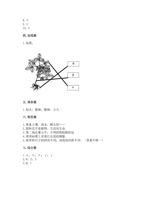 教科版一年级上册科学期末测试卷【名校卷】.docx