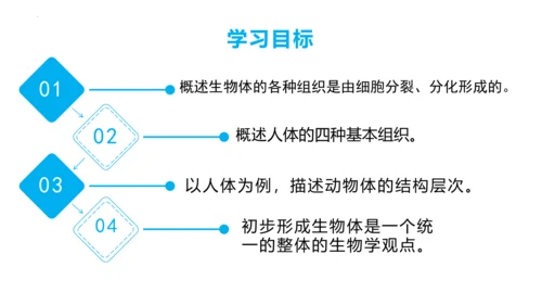2.2.2 动物体的结构层次-2023-2024学年七年级生物上学期备课课件（人教版）(共26张PP