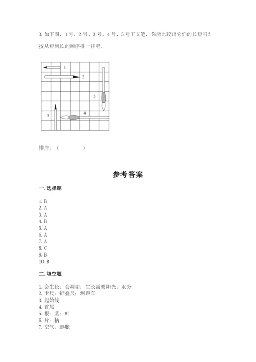 教科版一年级上册科学期末测试卷及答案一套.docx