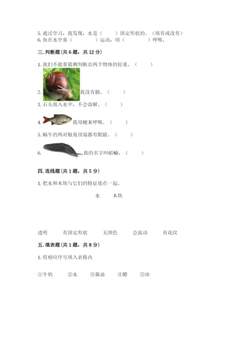 教科版一年级下册科学期末测试卷及答案（基础+提升）.docx