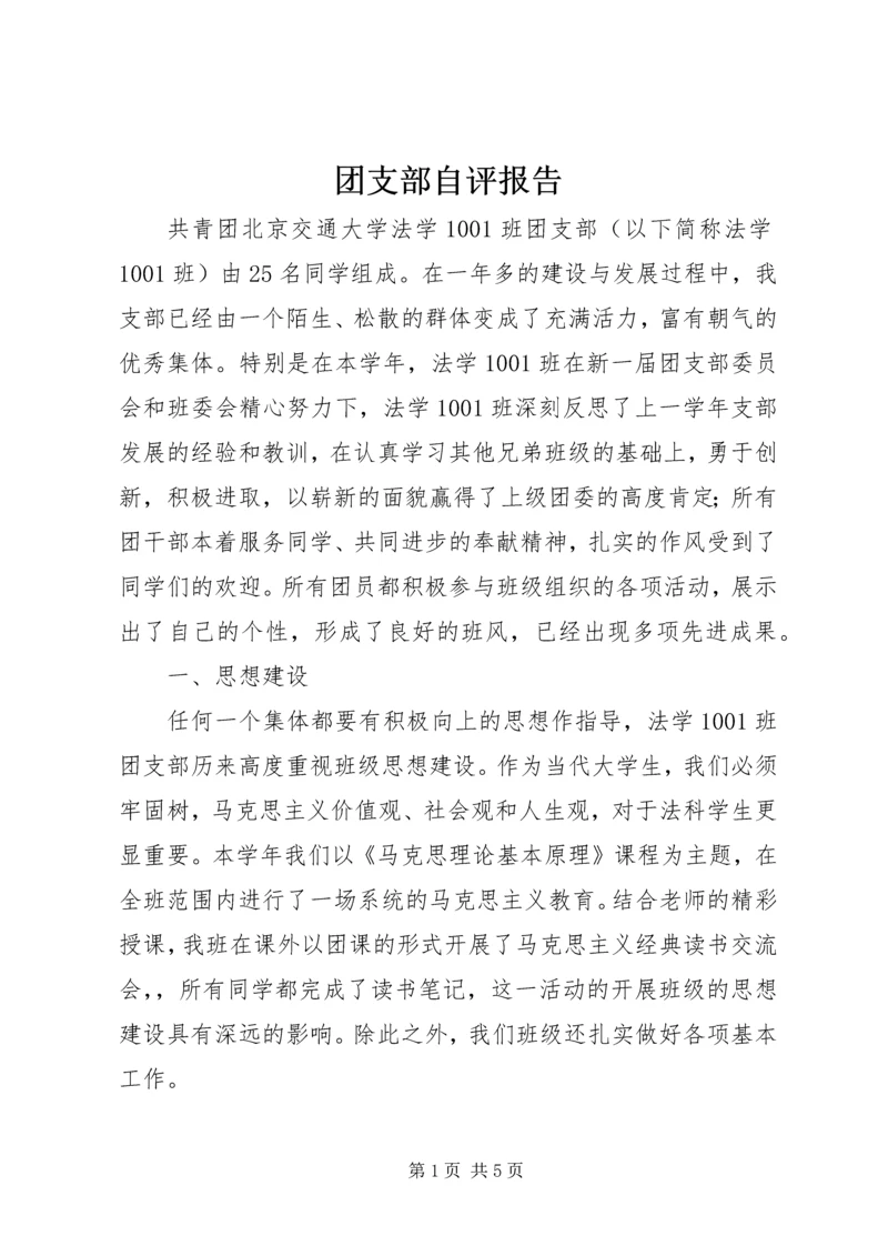 团支部自评报告 (3).docx