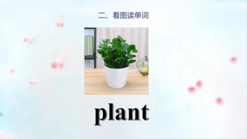PEP人教版五年级英语第一学期期末总复习课件(共72张PPT)