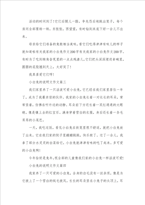 2021年观察小白兔说明文作文300字小白兔作文300字