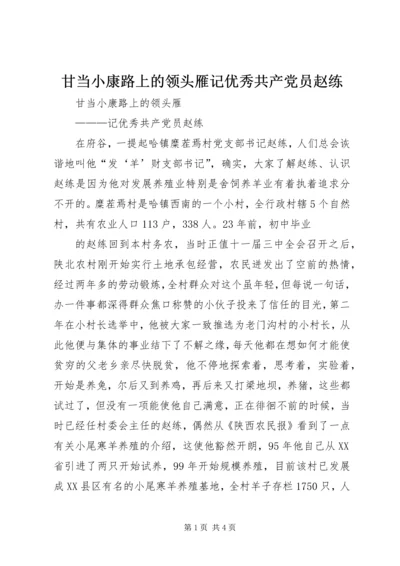 甘当小康路上的领头雁记优秀共产党员赵练.docx