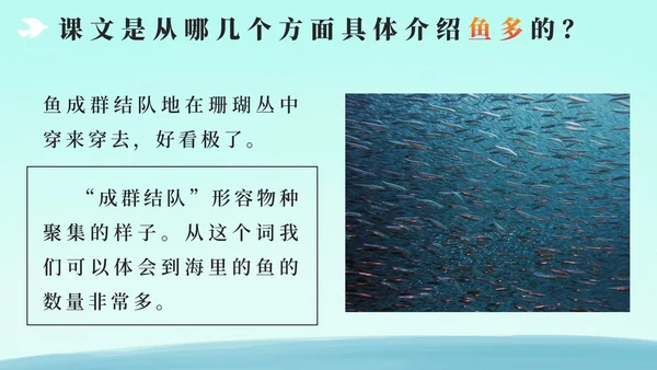 部编版三年级上册第十八课富饶的西沙群岛PPT模板