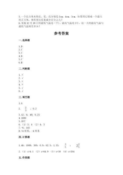 廊坊市霸州市六年级下册数学期末测试卷加精品答案.docx