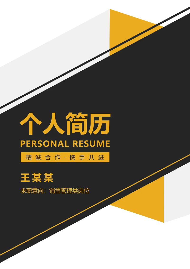 个人简历套装销售