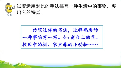 10.单元整理课
