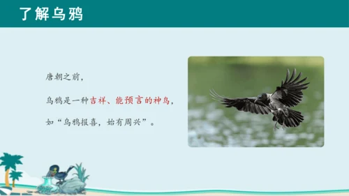 课文13《乌鸦喝水》课件