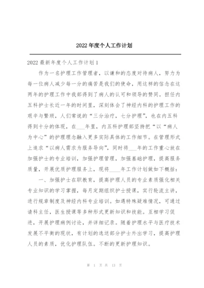 2022年度个人工作计划.docx