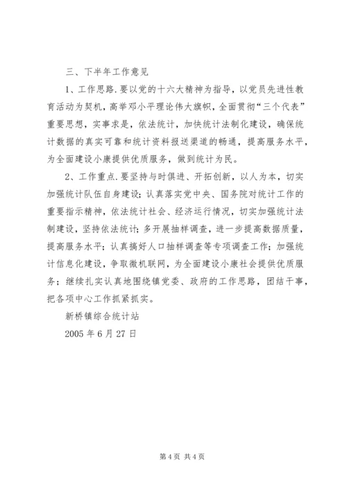 统计站２００５上半年工作总结及下半年工作计划.docx