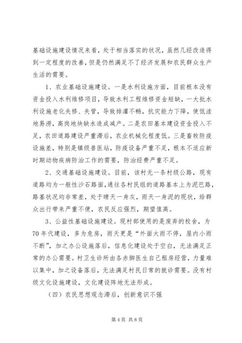 村工作计划及思路.docx