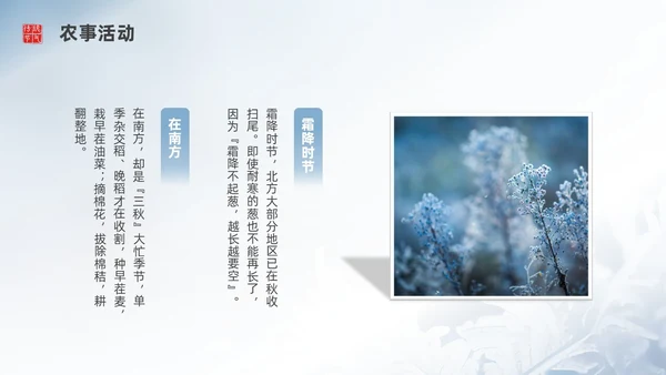 彩色实拍霜降二十四节气PPT课件