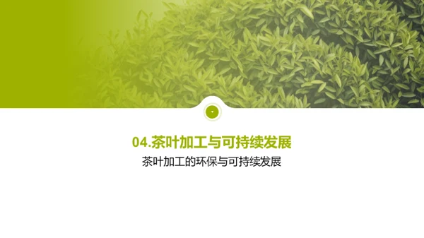 绿色革新：茶叶加工