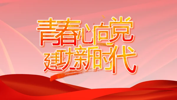 党支部选举换届大会年终工作总结PPT