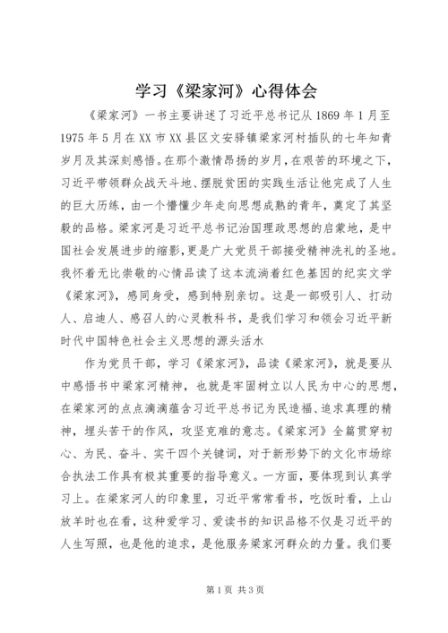 学习《梁家河》心得体会.docx