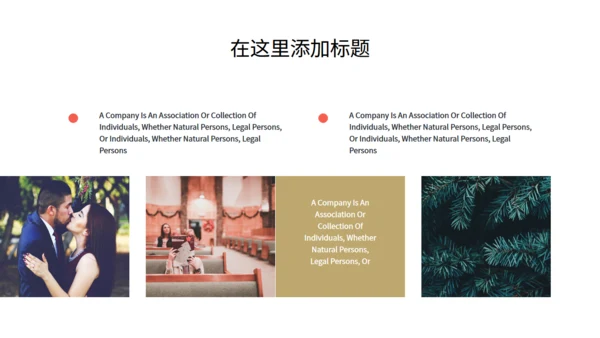 高端奢华风圣诞节商业活动策划通用PPT模板
