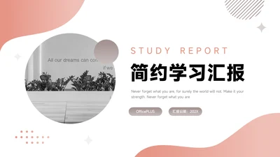 粉色大气简约学习汇报PPT模板