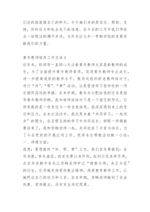 青年教师培养工作总结.docx