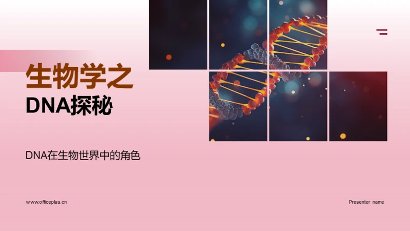 生物学之DNA探秘