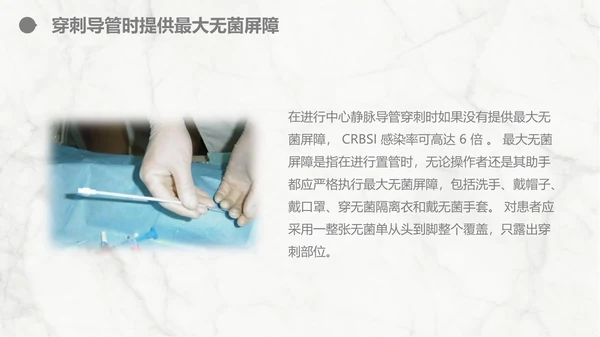 集束化干预在静脉导管相关血流感染的应用PPT模板