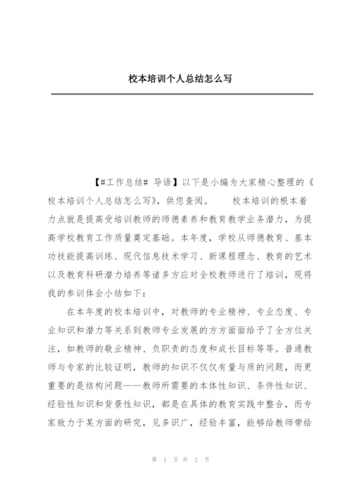 校本培训个人总结怎么写.docx