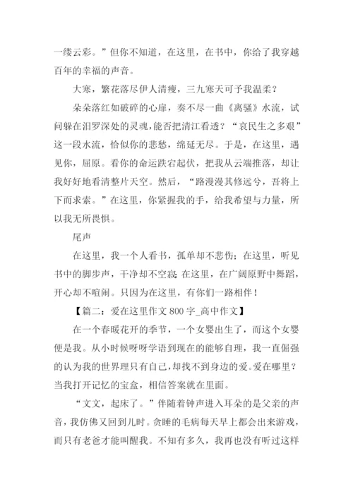 在这里作文800字.docx