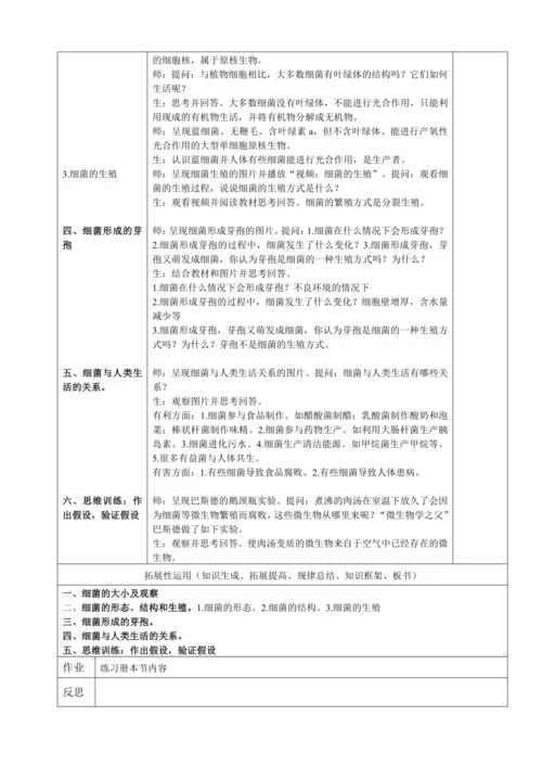 人教版（2024）生物七年级上册 2.3.2 细菌（教案）