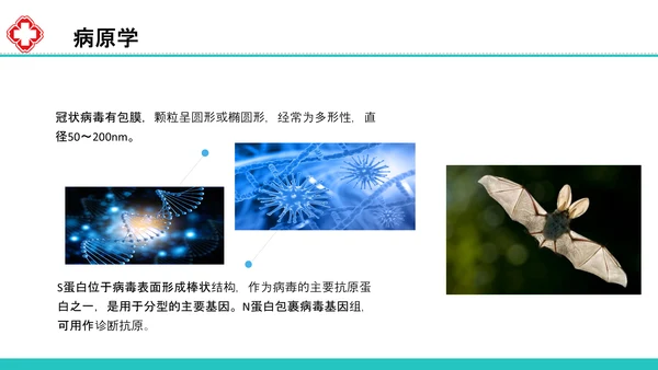 新型冠状病毒感染病例诊疗方案PPT模板