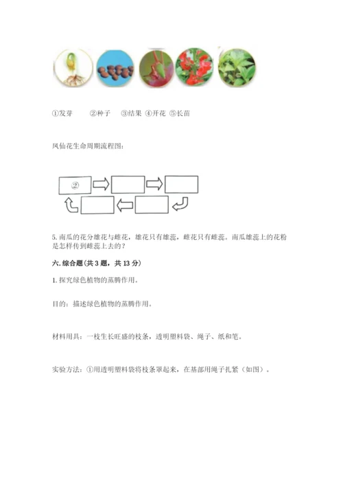 科学四年级下册第一单元《植物的生长变化》测试卷精品（名师系列）.docx