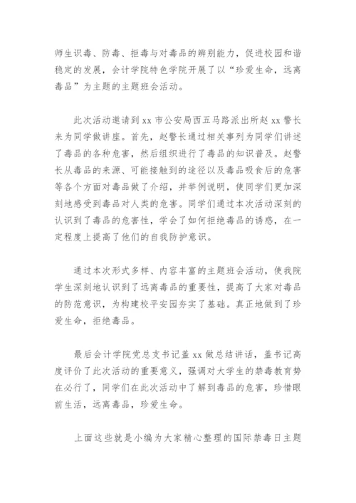 国际禁毒日主题班会总结(精选6篇).docx