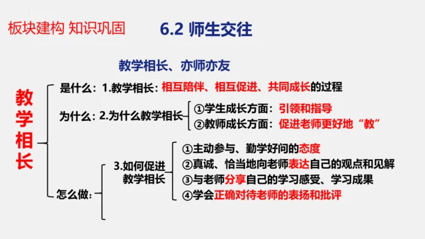 【新课标】七上第三单元 师长情谊 期末复习课件(共38张PPT)