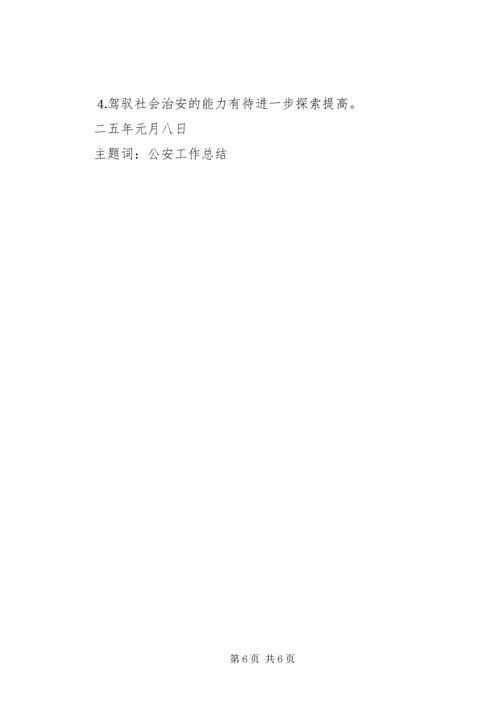 二○○四年公安保卫工作总结.docx